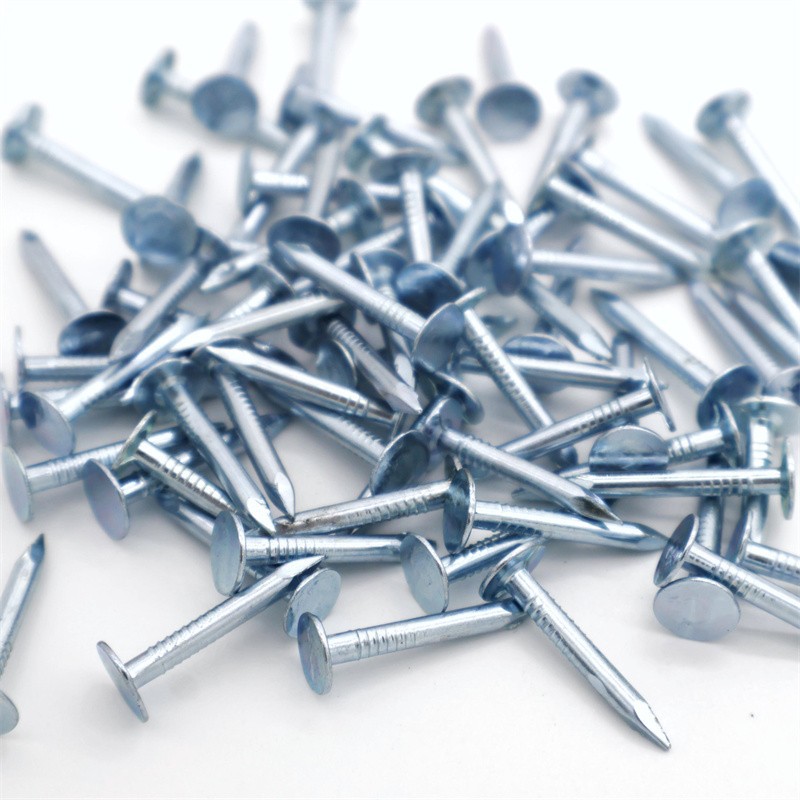 2 1inch clout nails for roofing felt china manufacturer