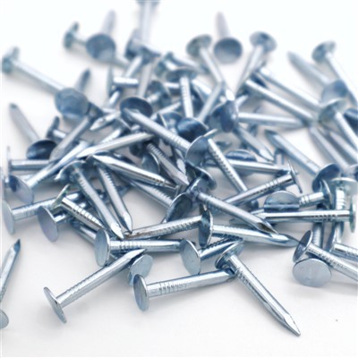 Ewinedd Nenfwd Pen Mawr